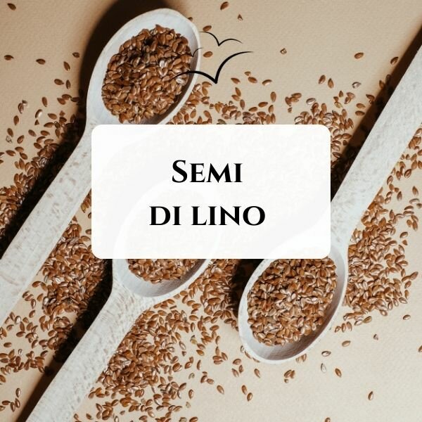 semi-di-lino-asfibromialgia